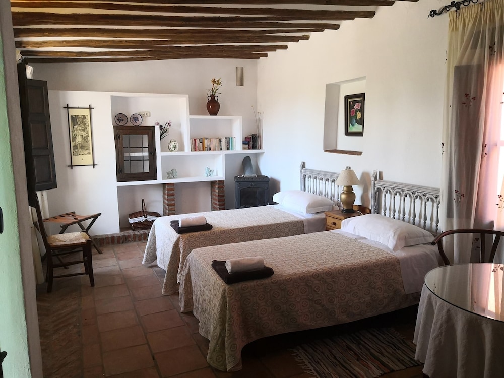 Habitación Doble Básica, 2 Camas Twin, Accesible, Vista al Jardín