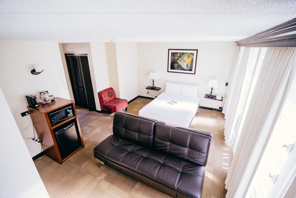 Deluxe Queen Room with Sofa bed photo 2