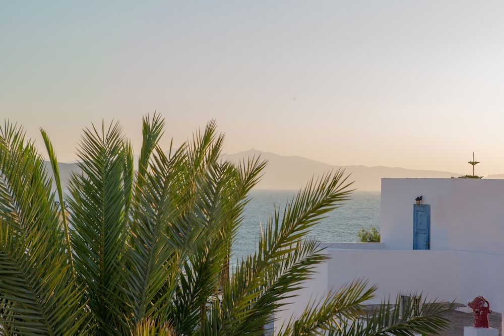 Standard Apartment, Partial Sea View, Balcony