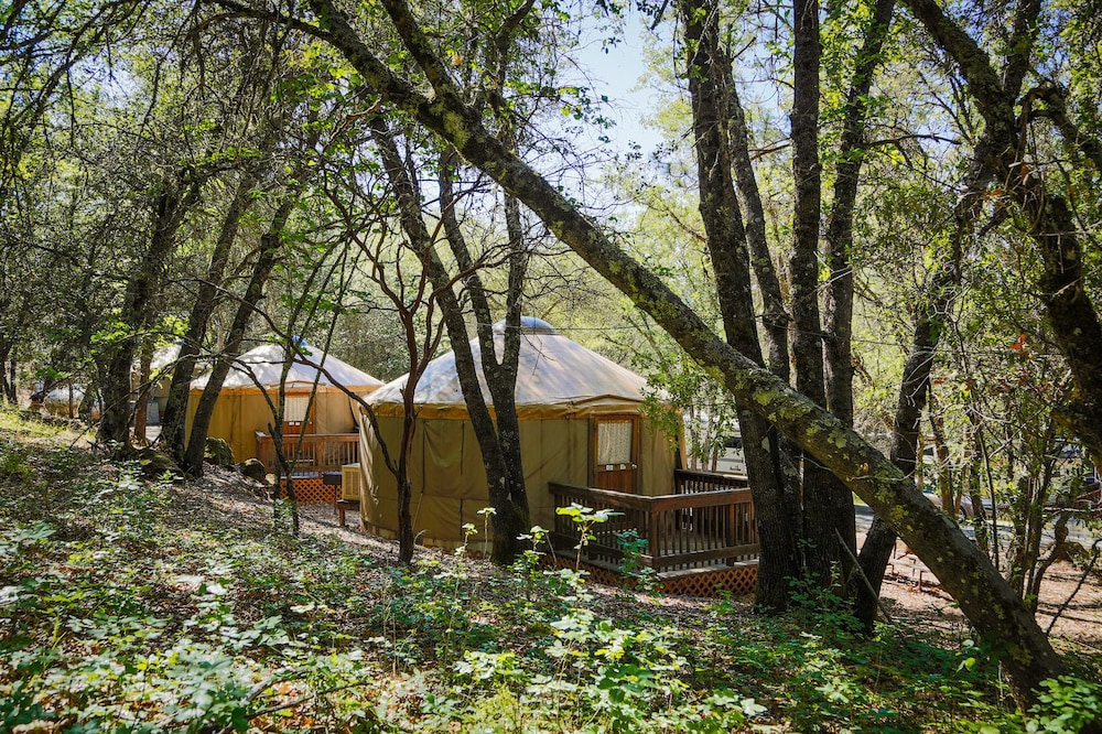 Tent, Non Smoking, Kitchenette (Yurt) photo 2