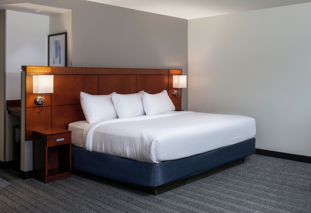 Room, 1 King Bed (Hearing Accessible) photo 2