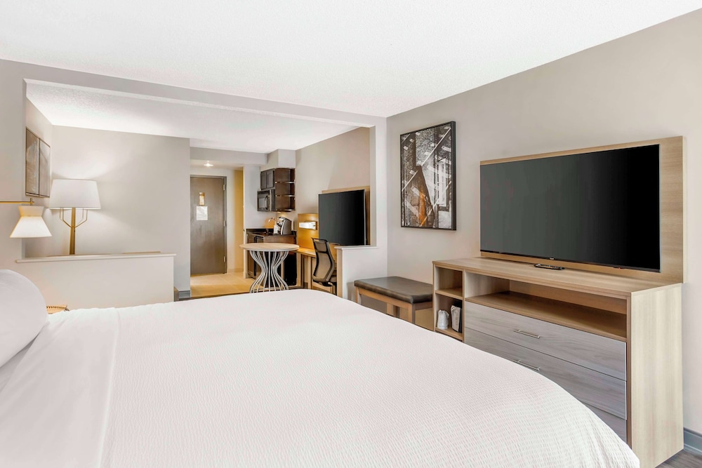 Standard Room, 1 King Bed, Accessible, Refrigerator & Microwave photo 1
