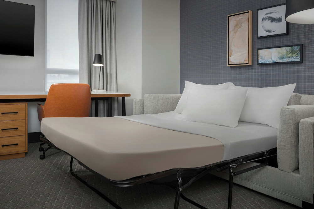 Studio, 1 King Bed with Sofa bed