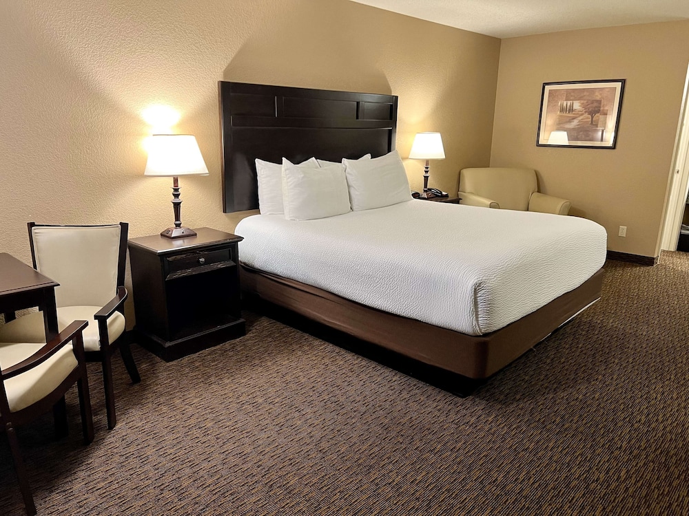 Standard Room, 1 King Bed, Non Smoking, Refrigerator & Microwave (Larger Room) photo 3