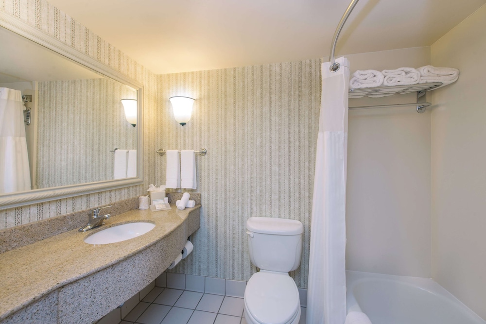 Deluxe Room, 1 King Bed, Accessible - Photo 5