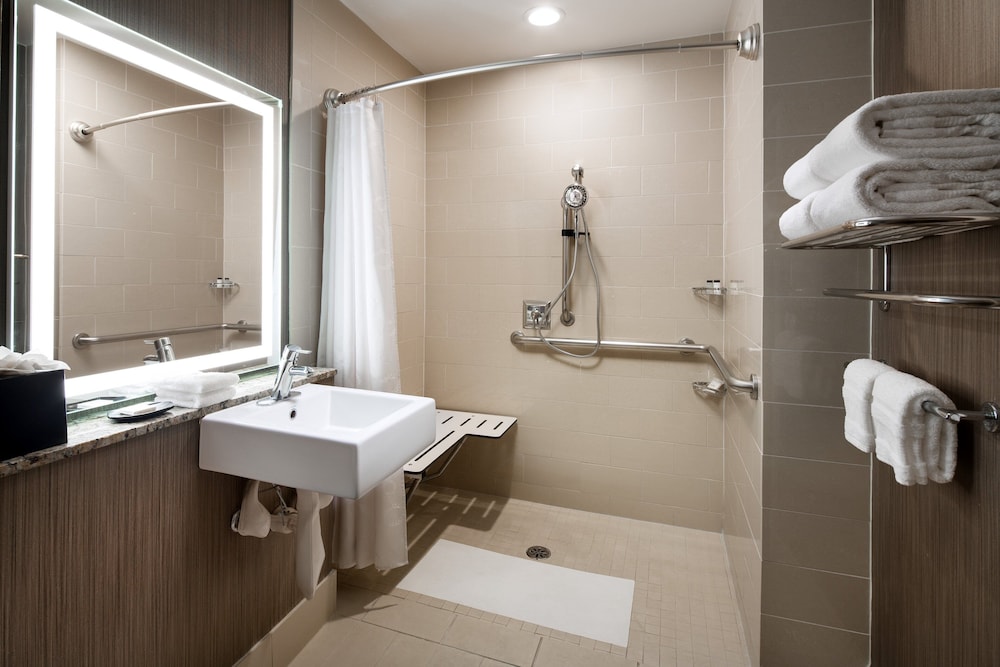 Room, 1 King Bed (Mobility/Hearing Access, Roll-In Shwr) - Photo 4