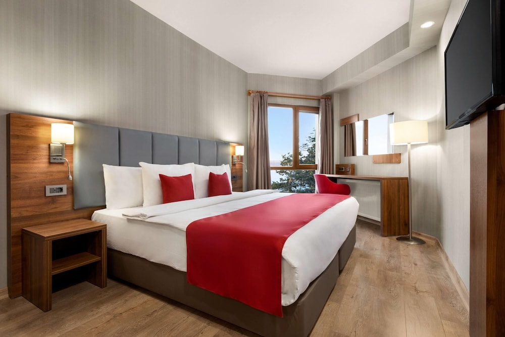 Deluxe Room, 1 King Bed, Mobility Accessible, Non Smoking (Hearing Accessible, Roll-in Shower) photo 1