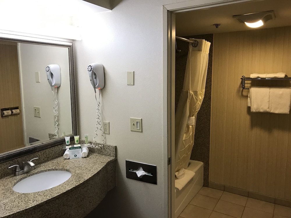 Deluxe Room, 1 King Bed, Non Smoking - Photo 3