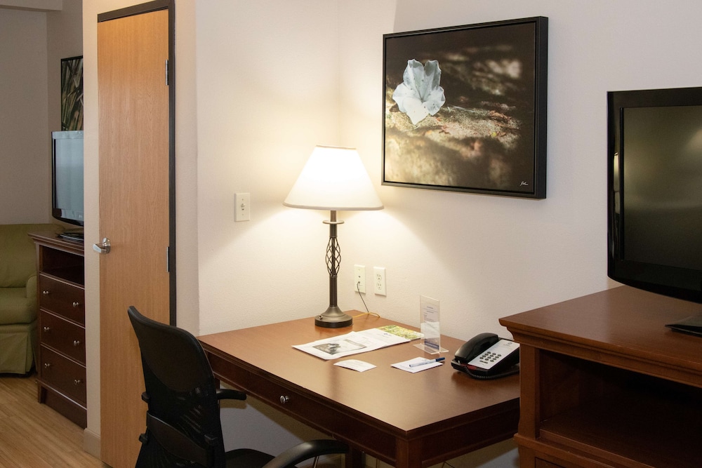 Suite, 1 King Bed, Non Smoking, Refrigerator & Microwave - Photo 2