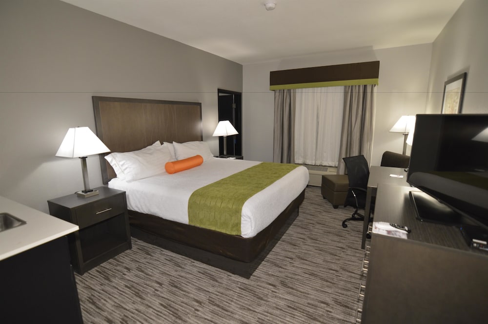 Standard Room, 1 King Bed, Non Smoking, Kitchenette photo 3