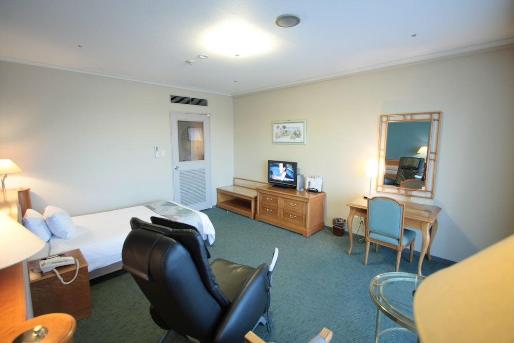 Single Room, Smoking photo 2