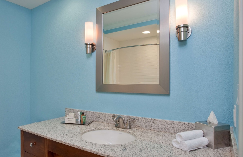 Room, Accessible, Bathtub - Photo 5