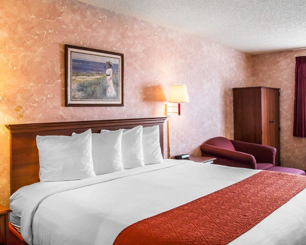 Standard Room, 1 King Bed, Non Smoking - Photo 9