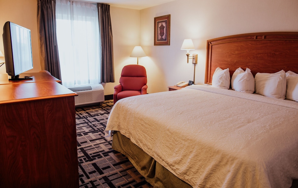 Room, 1 King Bed