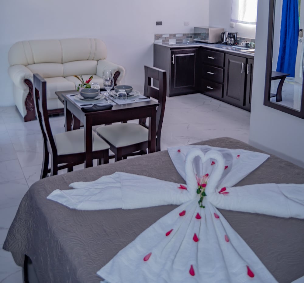 Superior Room, 1 Queen Bed, Kitchenette, Park View