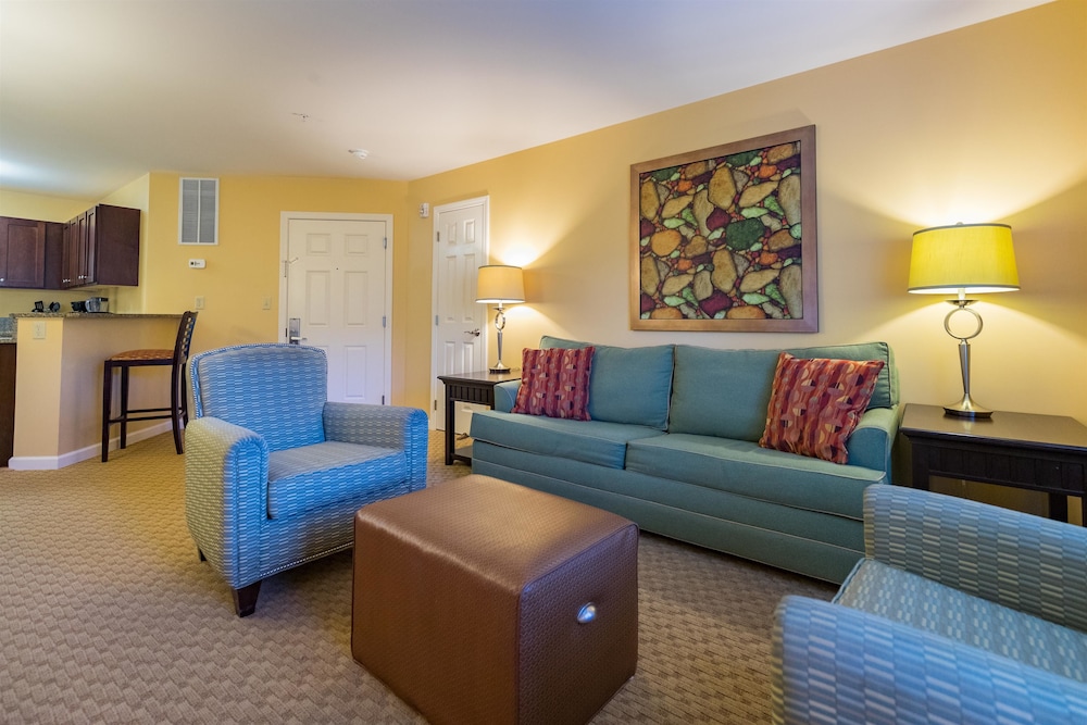 Premier One Bedroom Suite photo 1