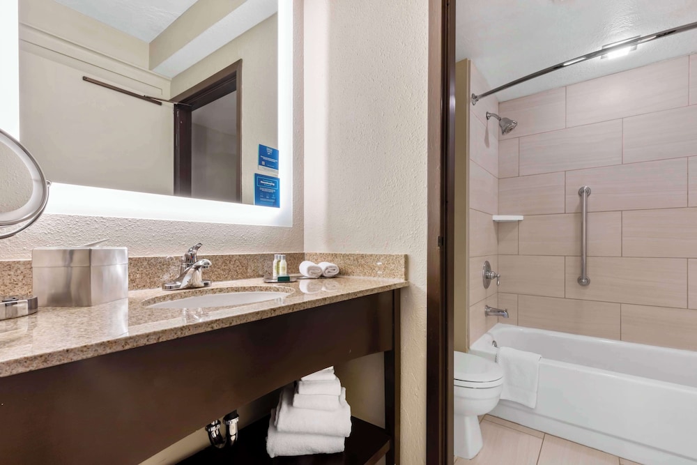 Suite, 1 King Bed, Accessible