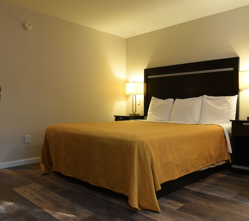 Single Room, 1 King Bed, Accessible - Photo 1