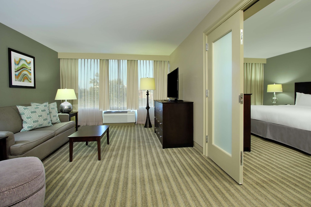 Suite, 1 King Bed