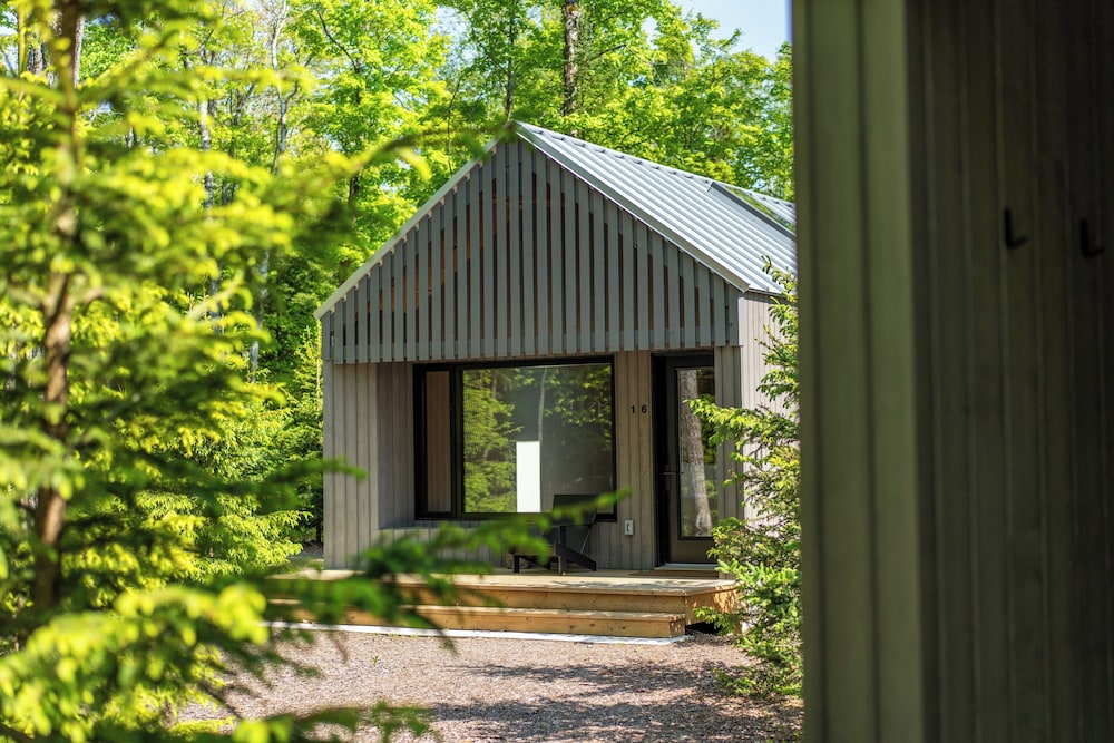 Forest Edge Escape at Dimensions | Cabin Sixteen photo 1