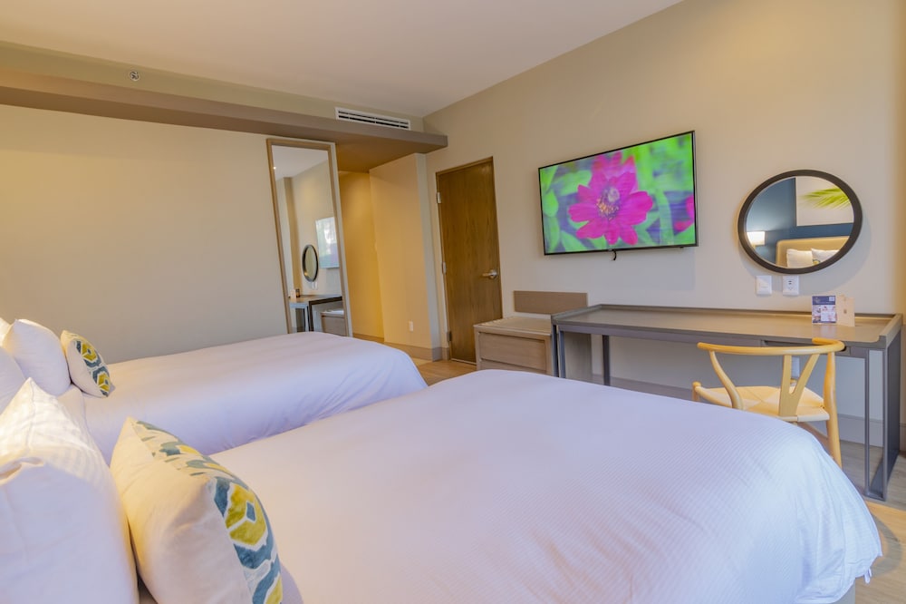 Superior Double Room, 2 Queen Beds, Mountain View photo 3