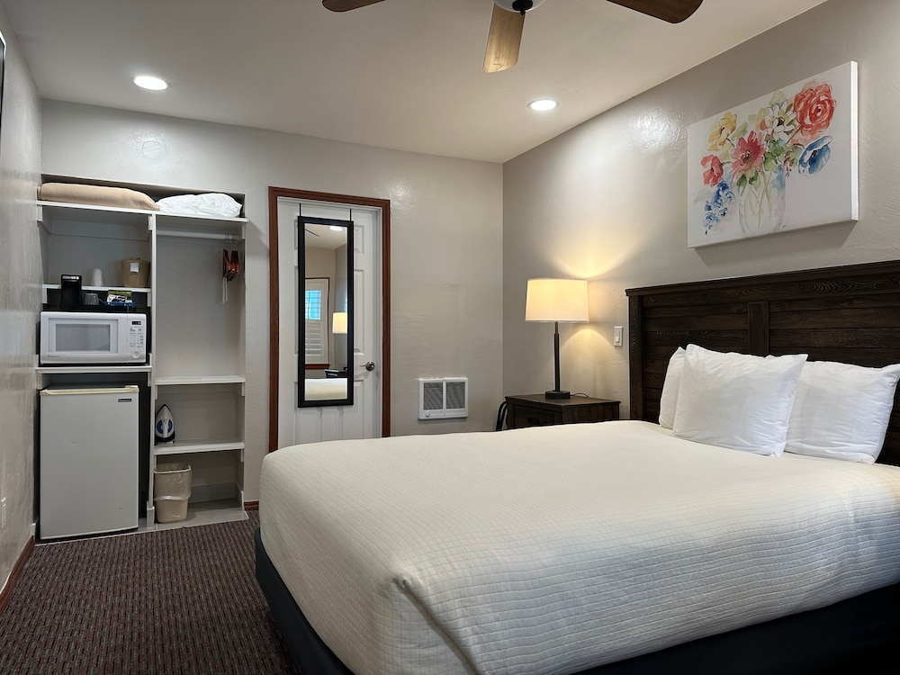 Room, 1 Queen Bed photo 1