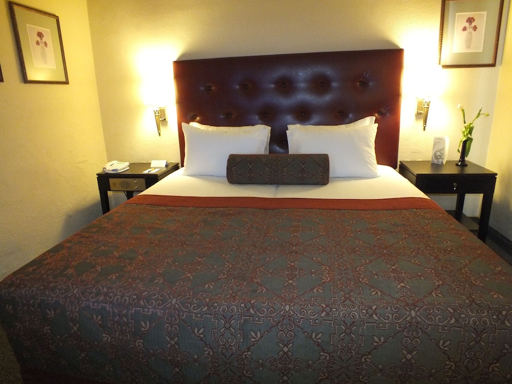 Classic Room - Photo 4