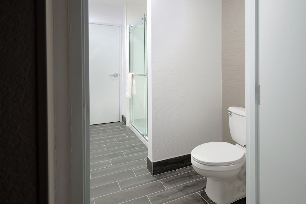 Room, 1 King Bed, Accessible (Roll-In Shower) - Photo 9