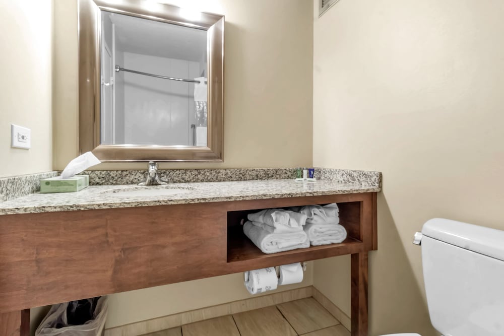 Studio Suite, 1 King Bed - Photo 10