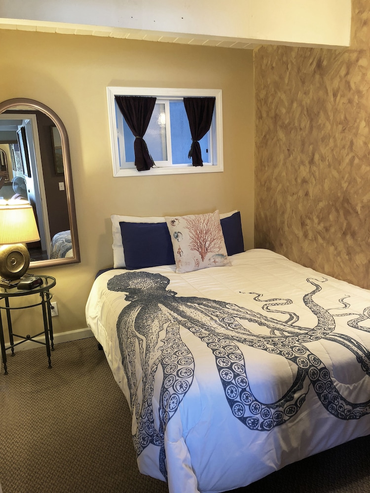 B11. Suite Sea (No Pets) photo 2