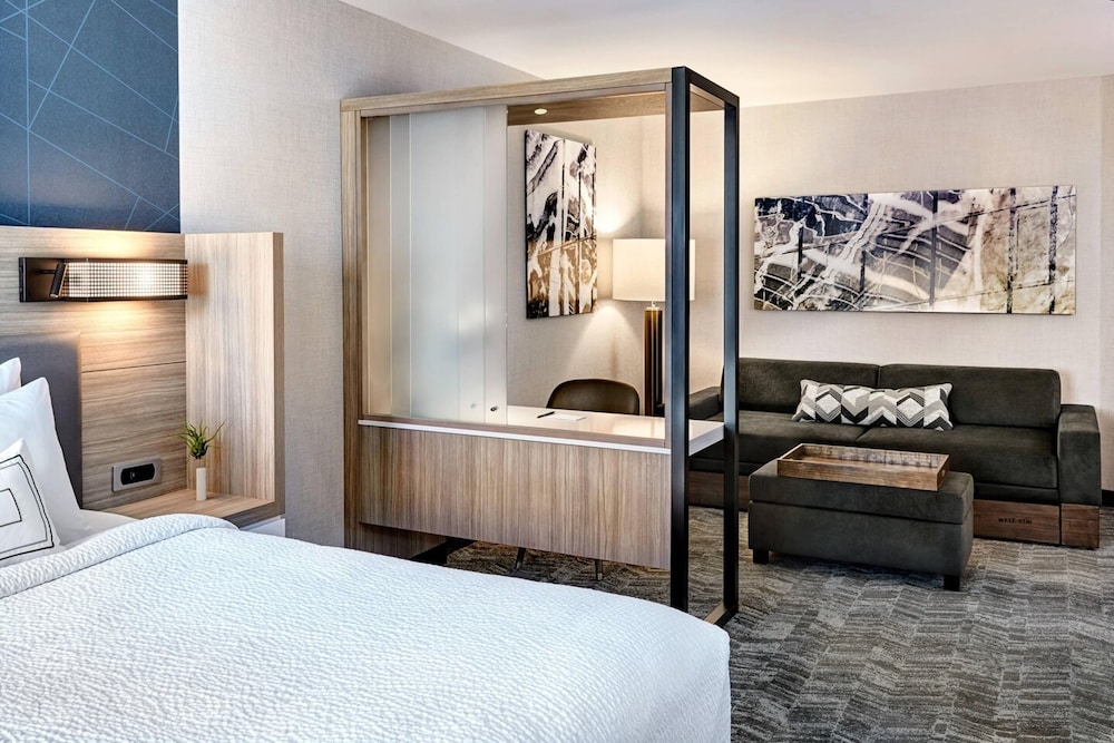 Studio Suite, 1 King Bed photo 3