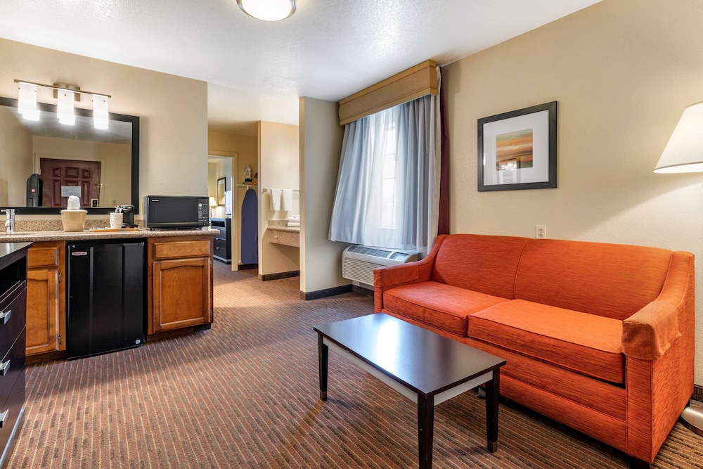 Suite, 1 King Bed, Non Smoking, Refrigerator & Microwave (with Sofabed) - Photo 3