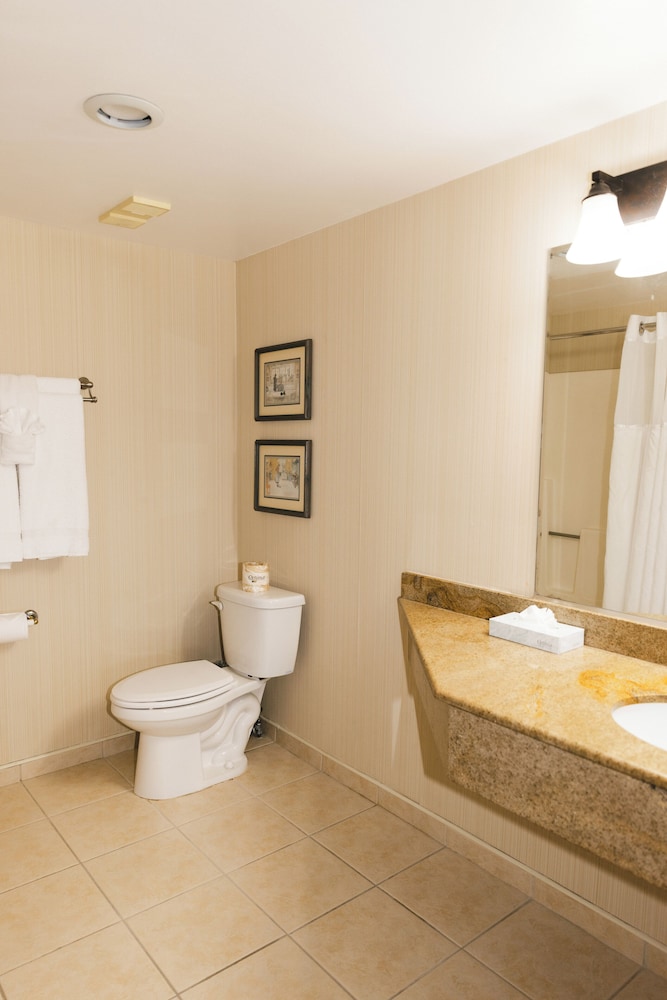 Grand Suite, 1 King Bed - Photo 7
