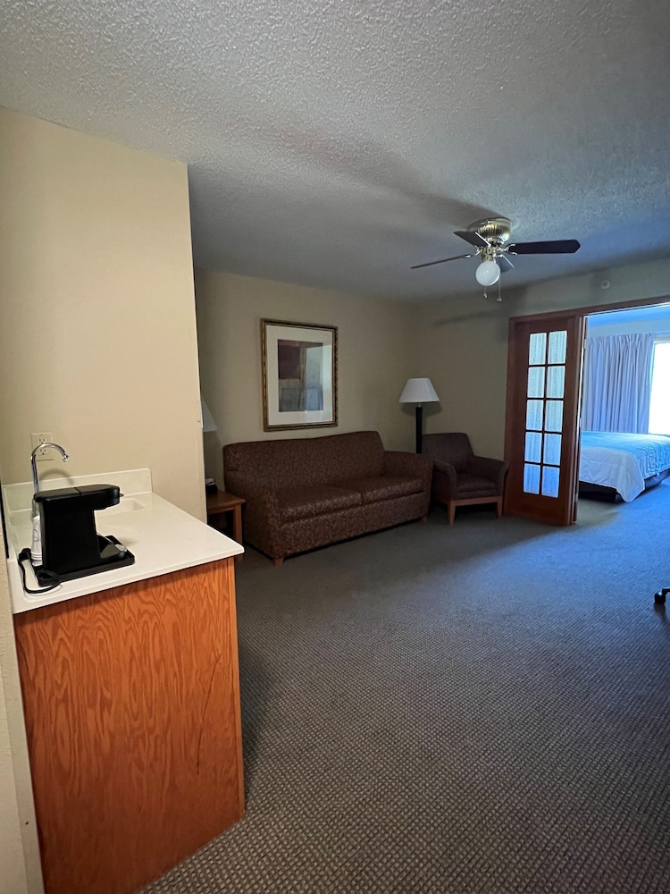 Room, 1 King Bed with Sofa bed photo 2