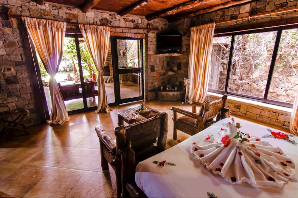 Room, Garden View