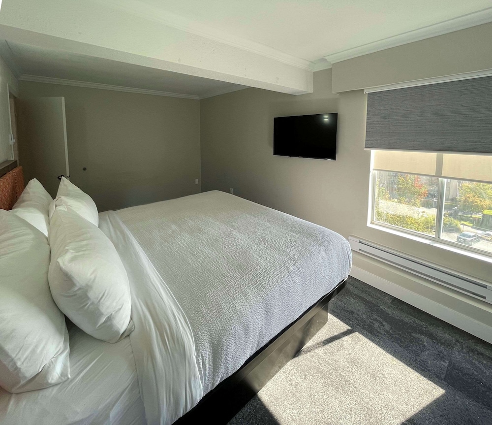 Deluxe Room, 1 King Bed, Non Smoking (Efficiency), photo 6