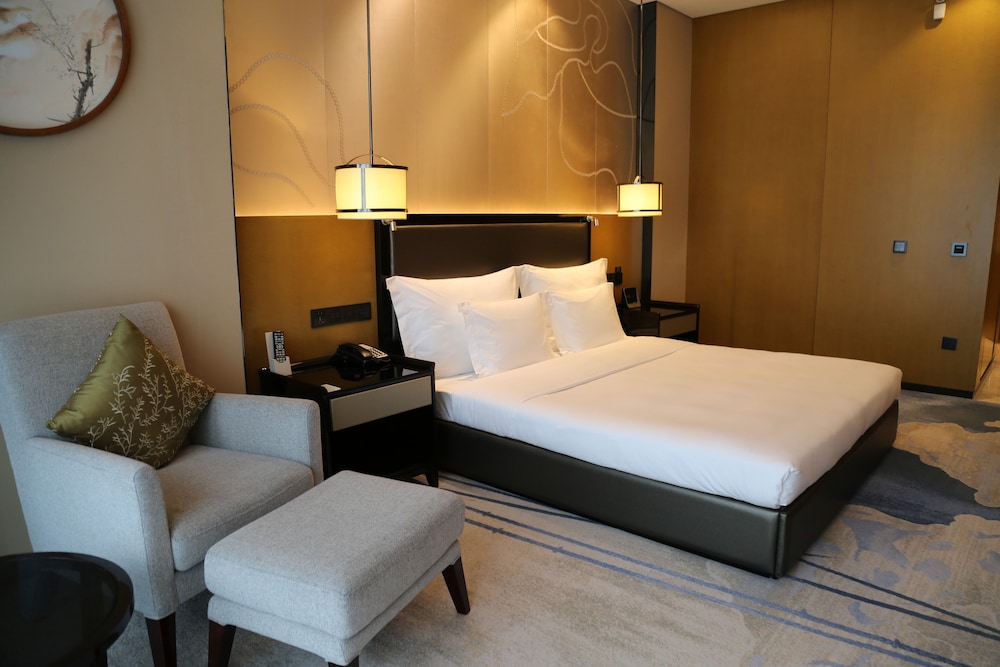 Room, 1 King Bed