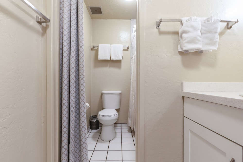 Standard Suite, 1 Bedroom, Kitchen (1 King Bed w/ Sofa Bed) - Photo 3