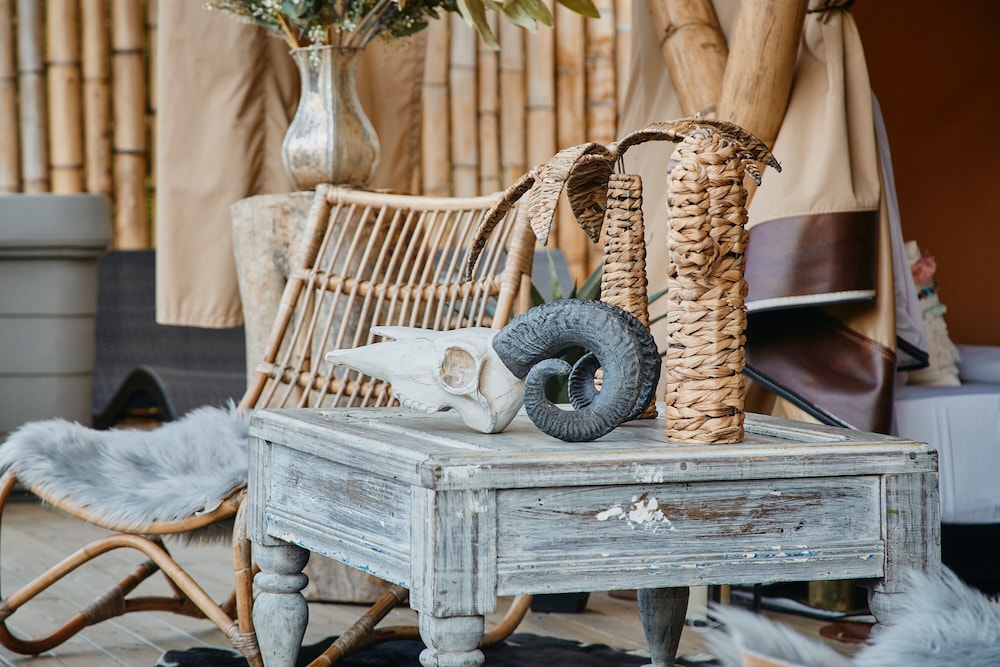 Safari Lux 1 - Photo 17