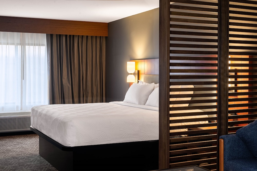 Premium Room, 1 King Bed with Sofa bed