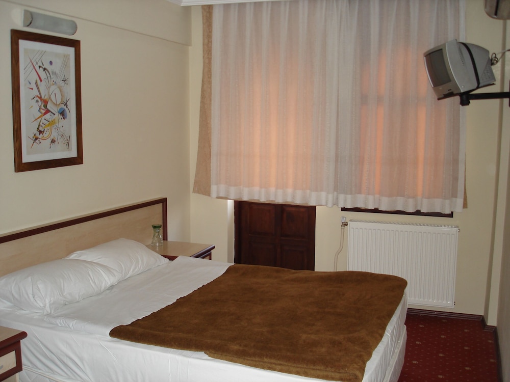 Standard Double or Twin Room photo 3