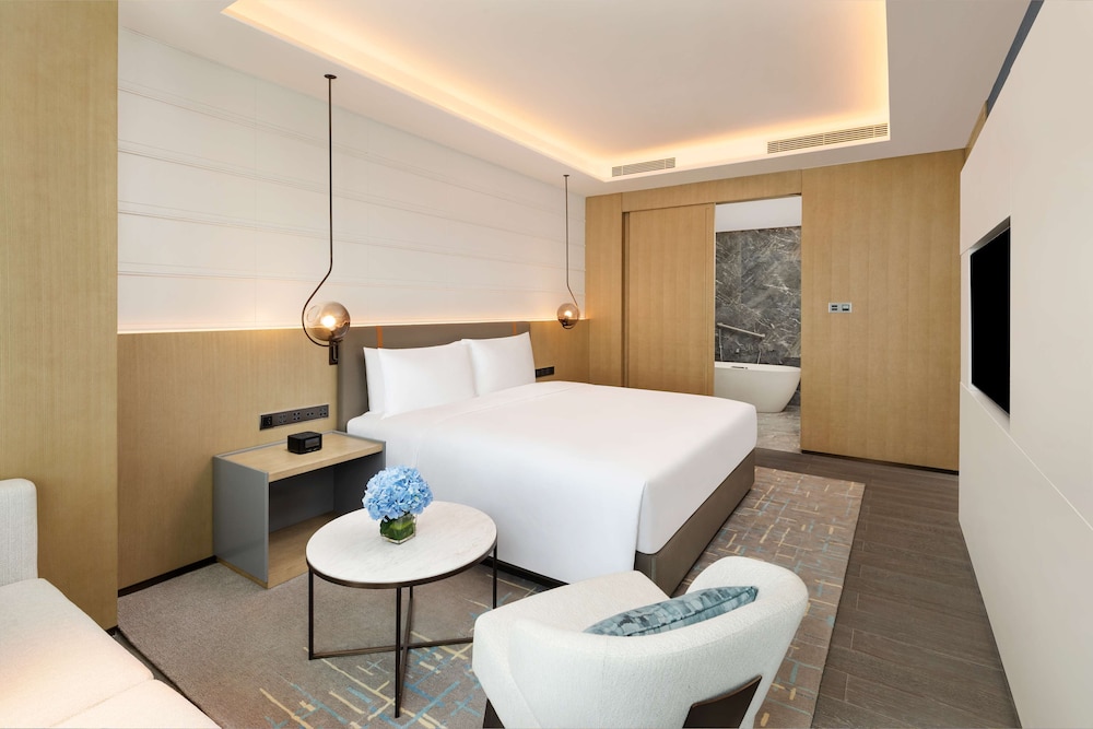 King Premier Suite - Photo 5