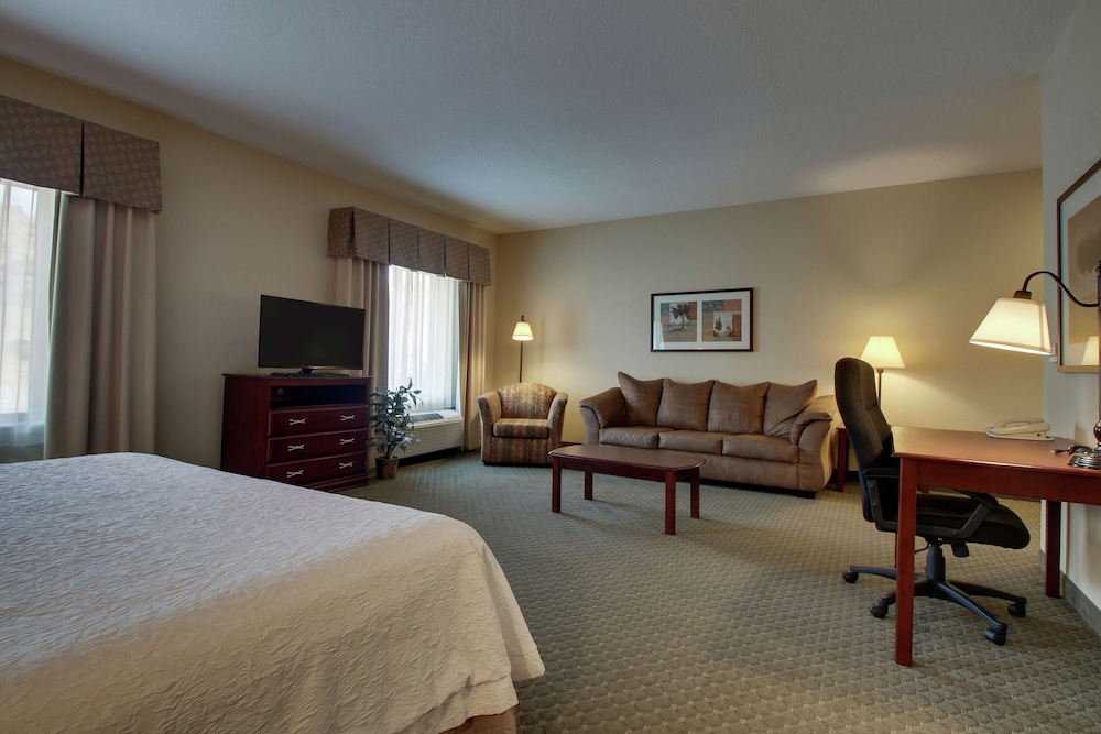 Studio, 1 King Bed, Accessible, Non Smoking (Mobility & Hearing, Roll-in Shower) - Photo 2