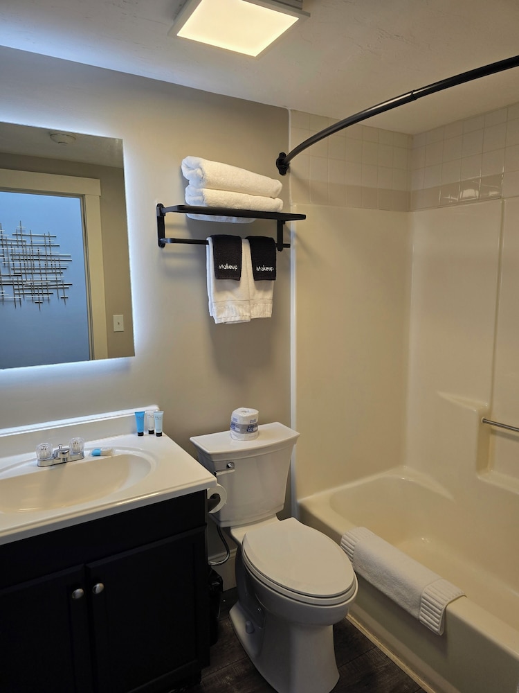 Room, 1 King Bed (No windows, skylight only) photo 2