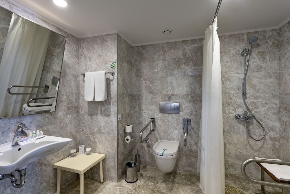 Handicap Room photo 3