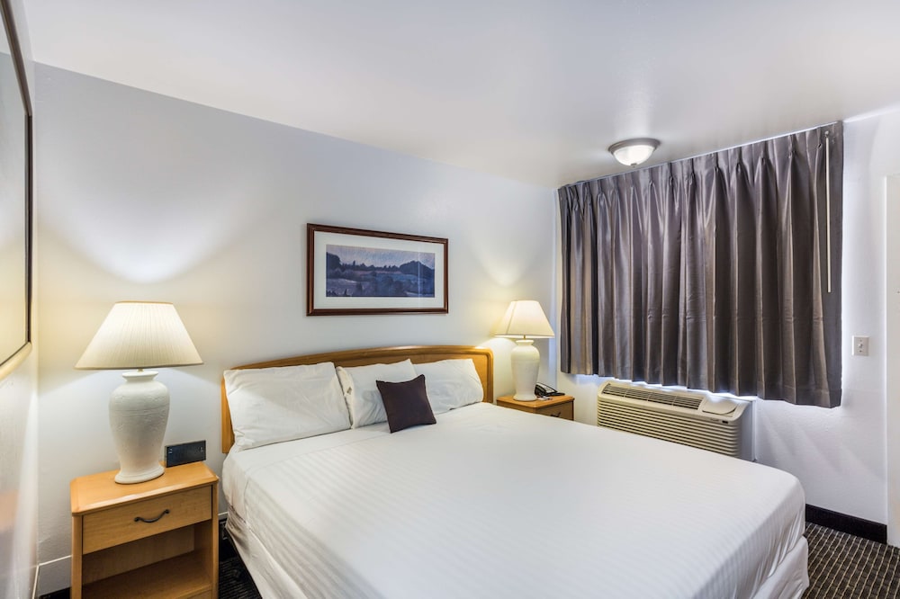 Suite, 1 King Bed photo 1