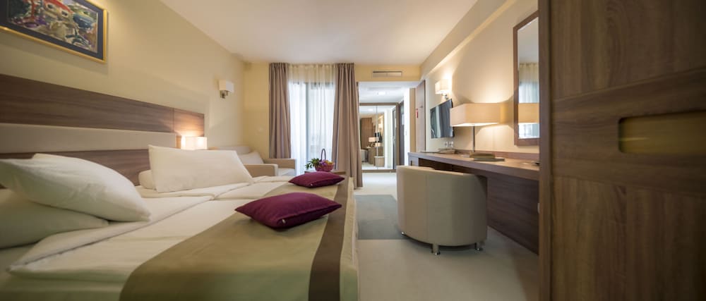 Superior Double Room, Mountain View photo 1