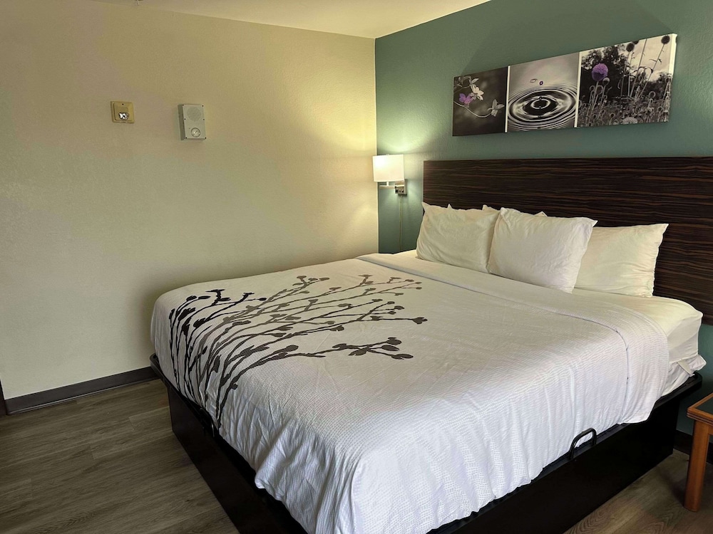 Suite, Multiple Beds, Hearing Accessible, Non Smoking (Efficiency) - Photo 8