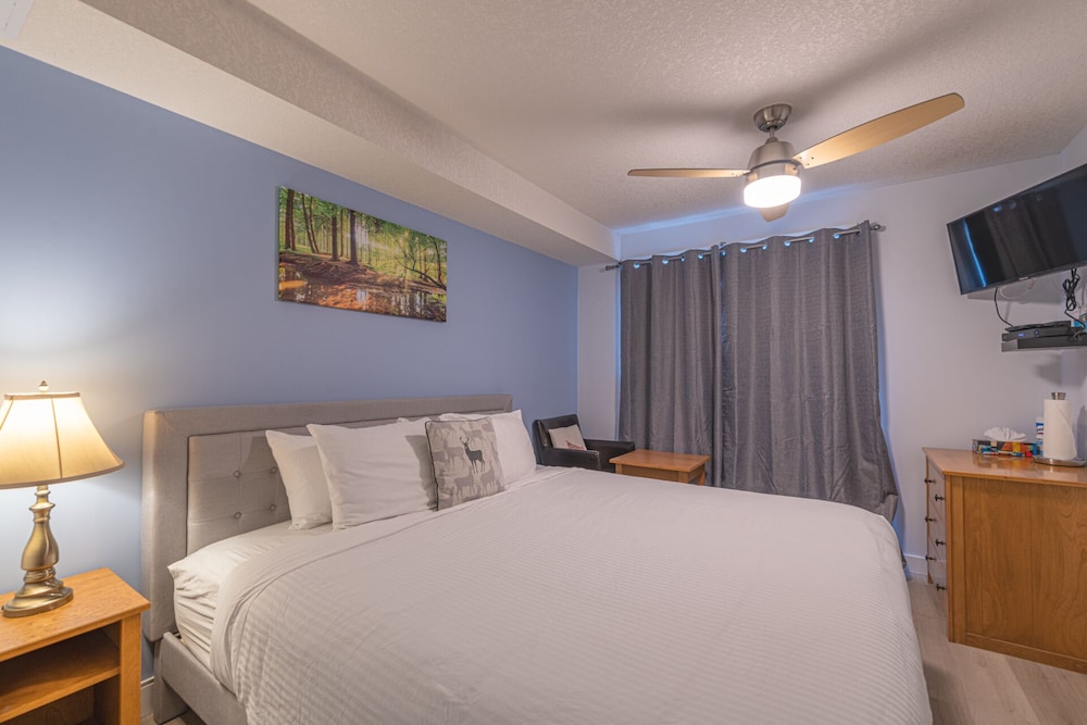 Comfort Single Room photo 1