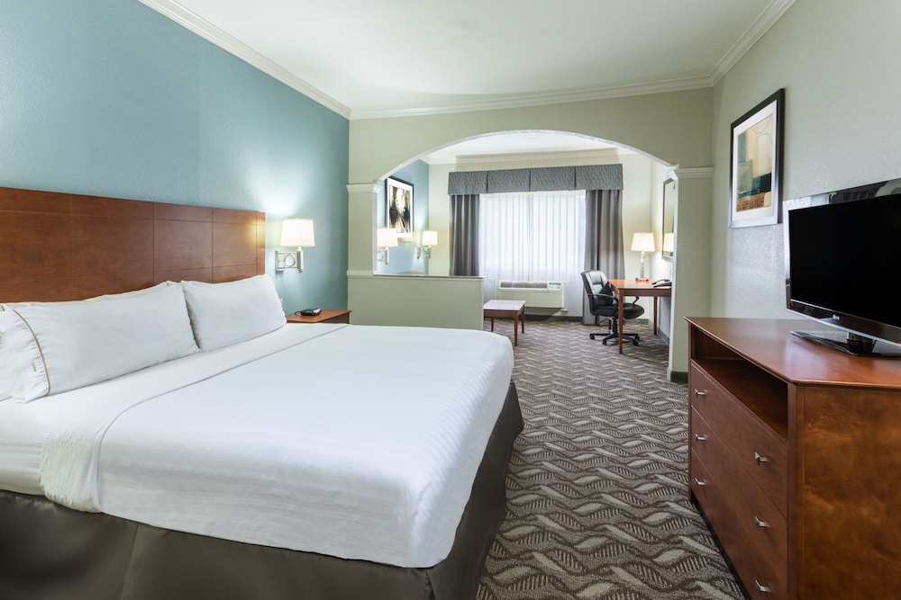 Suite, 1 King Bed with Sofa bed - Photo 1